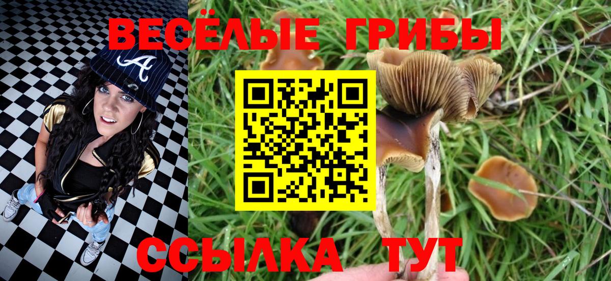 Донецк  Псилоцибиновые грибы Psilocybe  Вход с VPN 